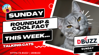 D.Buzz Vol.158 Recap of this Week's Posts