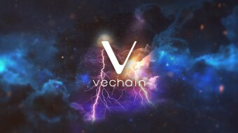 VeChain: Why I believe it will succeed!