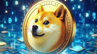 DID SOMEONE MISSED DOGE  ?