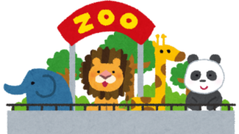 The Zoo's Portfolios - Month 0 / Week 4
