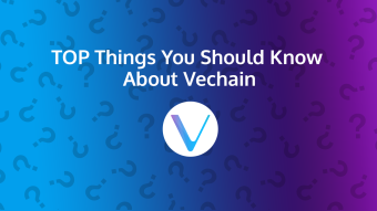 Top Things You Should Know About VeChain (VET)