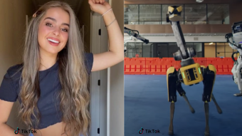 Satire | D'Amelio sisters, Addison Rae, and more influencers sue Boston Dynamics over robot dogs
