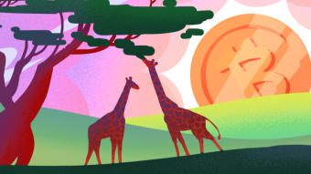 Cryptocurrency In Africa: A Solution Out Of The Blue?