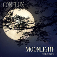 Moonlight