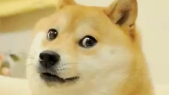 Elon finally realised his misperception about Bitcoin .Does he open door for bullish market specially Dogecoin?