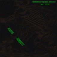 PEACEFUL TRANQUILITY (THE GARDEN REMIX) FEAT. JUXTA - DOWNWARD SPIRAL MANTRA