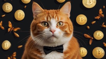 Bitcoin and the "R" Word: Friend or Foe?