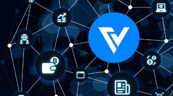 Innovation or just another common exchange? Exploring the Verse DEX