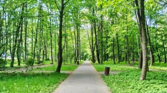 Thursday Much Warmer, a Pleasant Surprise - My Actifit Report Card: May 14, 2026