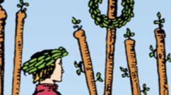 The fire of Leo brings us absolute clarity and the abundant peace of a job well done. Growing towards the Full Moon in Scorpio we make visible the end of the eclipse season. The 6 of Wands - 17/04/24