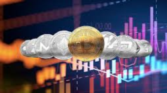 Crypto Buzz: Trump and Musk talked everything but Bitcoin!? What’s Next for the Market?