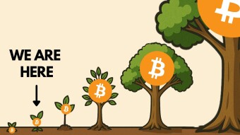 DEFI UPDATE 14.11.2025