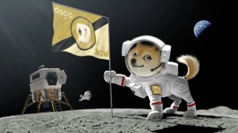 (DOGE) THE MEME