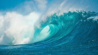 OCEAN