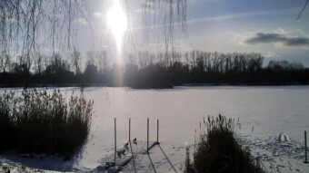 Frost at night and thaw during the day - such is winter - My Actifit Report Card: January 16, 2026