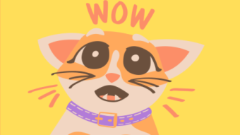 It’s really got to be a delicious chicken cat food if cat Garu eats it!