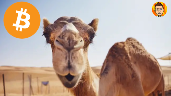 Bitcoin: The Straw That Broke The Camel's Back