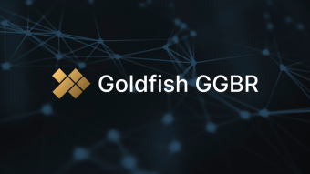 Goldfish prepares GFIN governance token launch and ecosystem airdrop as GGBR expands across DeFi
