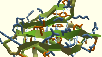 Foldit: A Game that Helps Predict How Proteins Fold