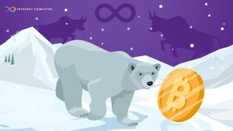 Internet Computer Resilience: Why It Always Survives Bear Markets & Comes Out Stronger