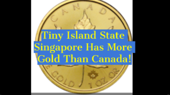 WGC Revises January Central Bank Gold Purchases By 45 Tonnes!