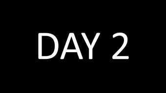 Day 2 (1/2) : from 0 to 1 Bitcoin -first results 0,0000311 BTC
