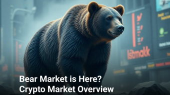 Bear Market is Here? Current Crypto Market Overview