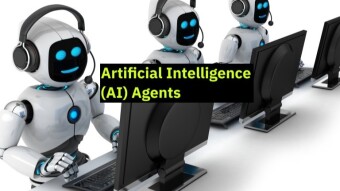 Main Sectors and Infrastructures AI Agents (DeFAI)