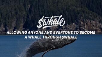 Why I love $WHALE