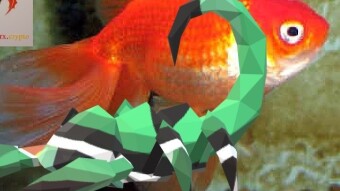 Big Koi Talk Five by Will Jones