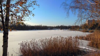 Beautiful sunny weather - another day of intense walking - My Activity Report Card: November 30 2023