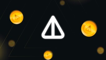 Notcoin. Pre-Summary