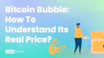 Bitcoin Bubble: How to understand its real price?