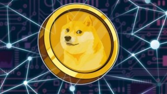 DOGE DAY?