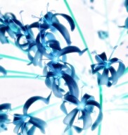 Blue Death [Thriller Short Story]