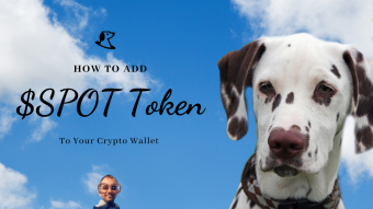 How To Add A Custom Token Like $SPOT To Your Metamask And Trust Wallet