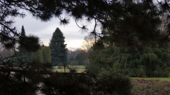 Today, very warm but extremely windy - My Actifit Report Card: Janurea 29 2025