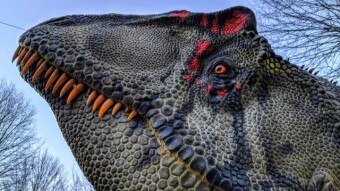 Misterysaurs