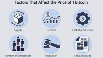 What Determines Bitcoin's Price?