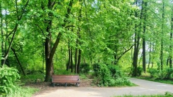 Temperatures on Wednesday remain very pleasant - My Actifit Report Card: May 6, 2026