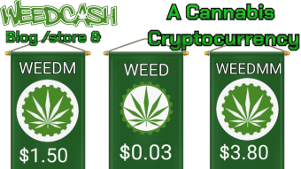 WEED Cash Five for Friday update