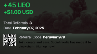 Heruvim1978's Cryptocurrency Income Report - February 2025