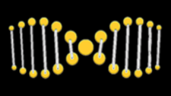 ExtraDna the future of social media