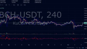 Contest: What will be the price of BCH in... FINAL round