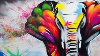 Unleashing the DeFi Revolution: Elephant Money Crushes the Competition and Takes the DeFi Crown
