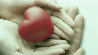 Recruit a charity, profit-share reward