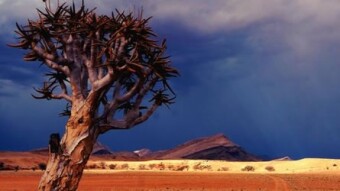 MMT, Economic Slack, and Liquidity