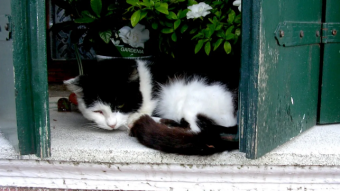 Sometimes we need to rest