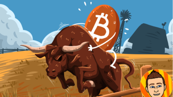 Realistic Look at Next Bitcoin Bull Run