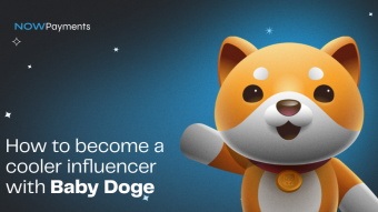 Ways influencers benefit from Baby Doge donations
